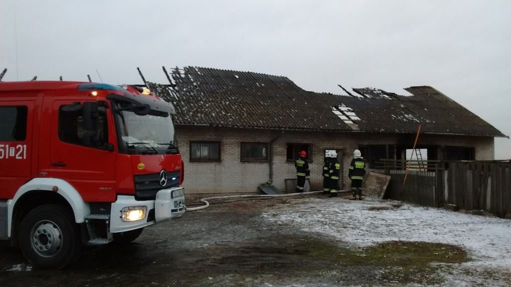 Pożar w Bałtowie. W akcji udział brało 38 strażaków.