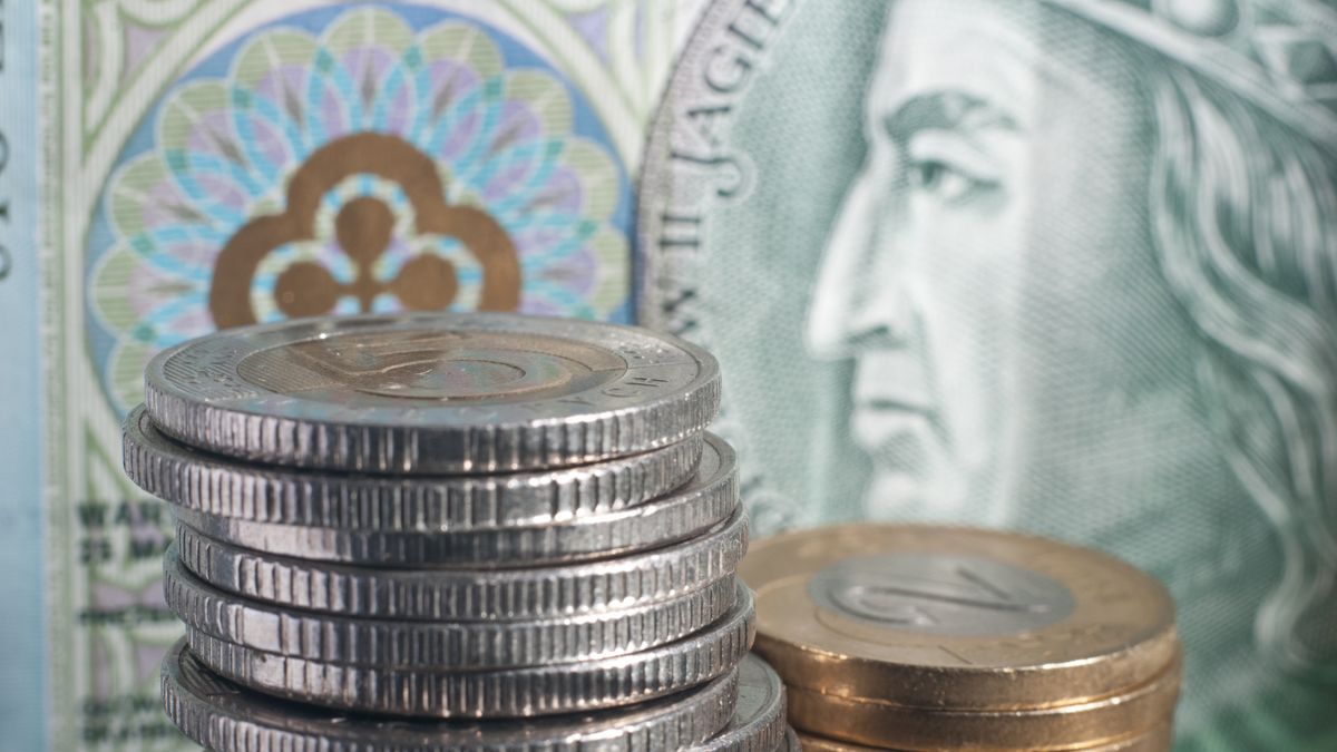 Polski złoty może się osłabić
