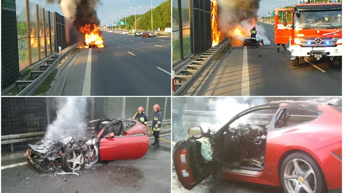 Fot. Przemek/TVN Kontakt24