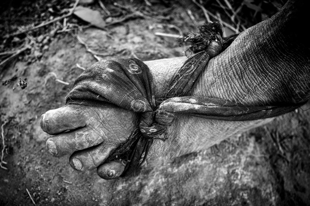 Fotograf Kishor Sharma pokazuje życie ostatnich Nomadów w Nepalu 6