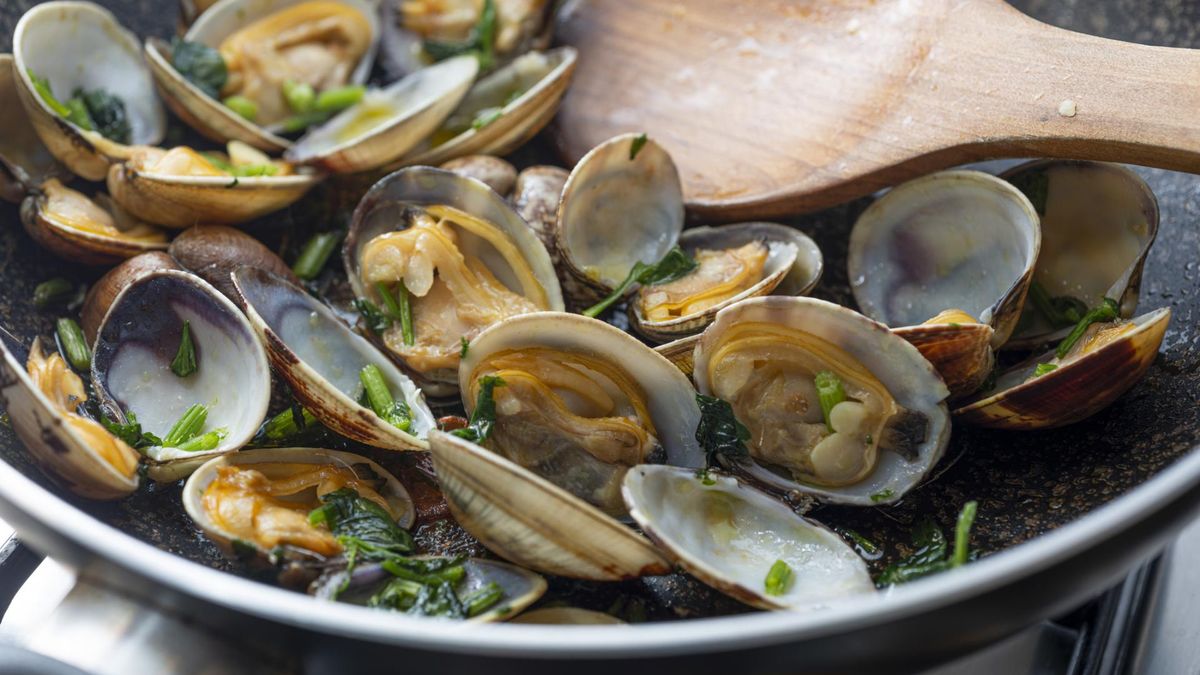 Małże – czy warto je jeść? Sprawdź ich właściwości zdrowotne