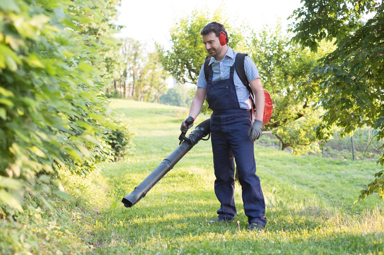 Dmuchawa do liści to fantastyczne urządzenie, które ułatwia pracę w ogrodzie