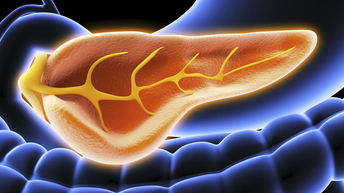 Trypsynogen może wskazywać na problemy z trzustką