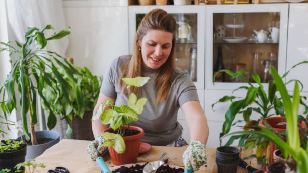 Traktujesz tak rośliny? Naukowcy mają złe wieści