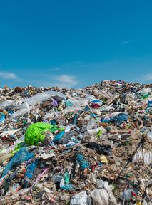 "Revolutionary". The EU Parliament has voted to introduce penalties of up to 10 years of imprisonment for environmental offenses