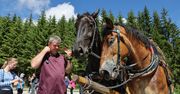 Związek Podhalan murem za tradycyjnym konnym transportem do Morskiego Oka