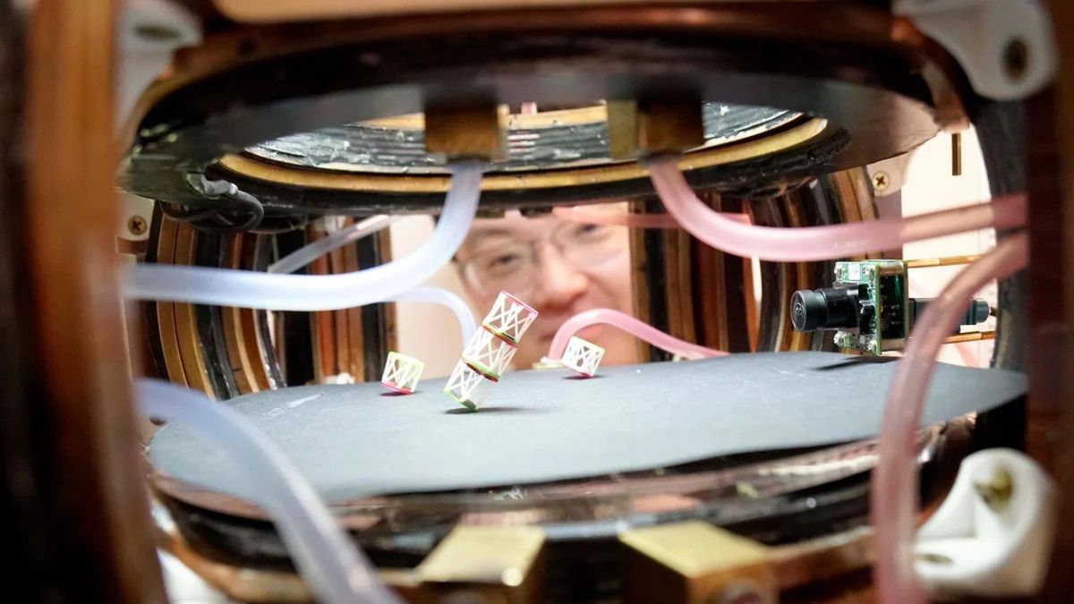 Rewolucyjny metabot. 