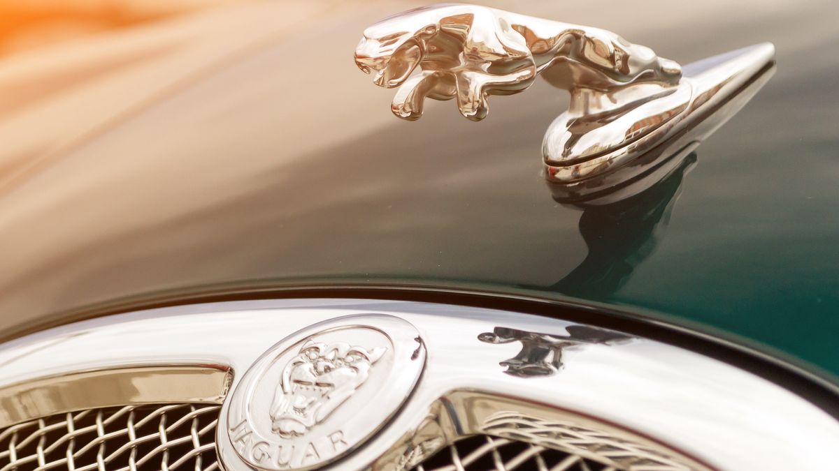 The chrome-plated emblem in the form of an animalNovosibirsk, Russia - 06.28.2018: The chrome-plated emblem in the form of an animal jaguar on a hood brightly green Jaguar S-type 2007jaguar, car, s, type, green, automobile, auto, motor, machine, heap, station, ride, british, truck, wheels, bucket, racer, compact, racing, sedan, motorcar, limousine, old, vintage, sport, power, luxury, chrome, wheel, transport, style, england, britan, industry, shine, headlight, grille, good, excelent, alloy, light, parking, beige, interior, window, glass, exterior, usa, technology, vehicle, jaguar, car, s, type, green, automobile, auto, motor, machine, heap, station, ride, british, truck, wheels, bucket, racer, compact, racing, sedan, motorcar, limousine, old, vintage, sport, power, luxury, chrome, wheel, transport, style, england, britan, industry, shine, headlight, grille, good, excelent, alloy, light, parking, beige, interior, window, glass, exterior, usa, technology, vehicle