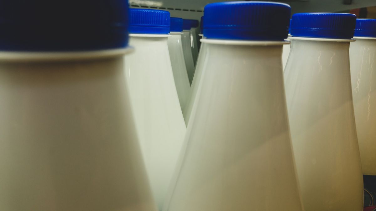 Uwaga na tłuste mleko. Regularne picie może uszkodzić wątrobę