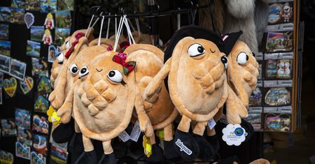 Pluszowy oscypek podbija Zakopane. Cena może zaskoczyć