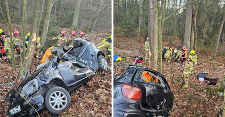 Zjechali z drogi i uderzyli prosto w drzewo. Kierowca zginął na miejscu