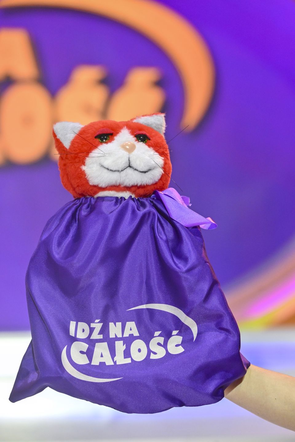 Kot Zonk z "Idź na całość"
