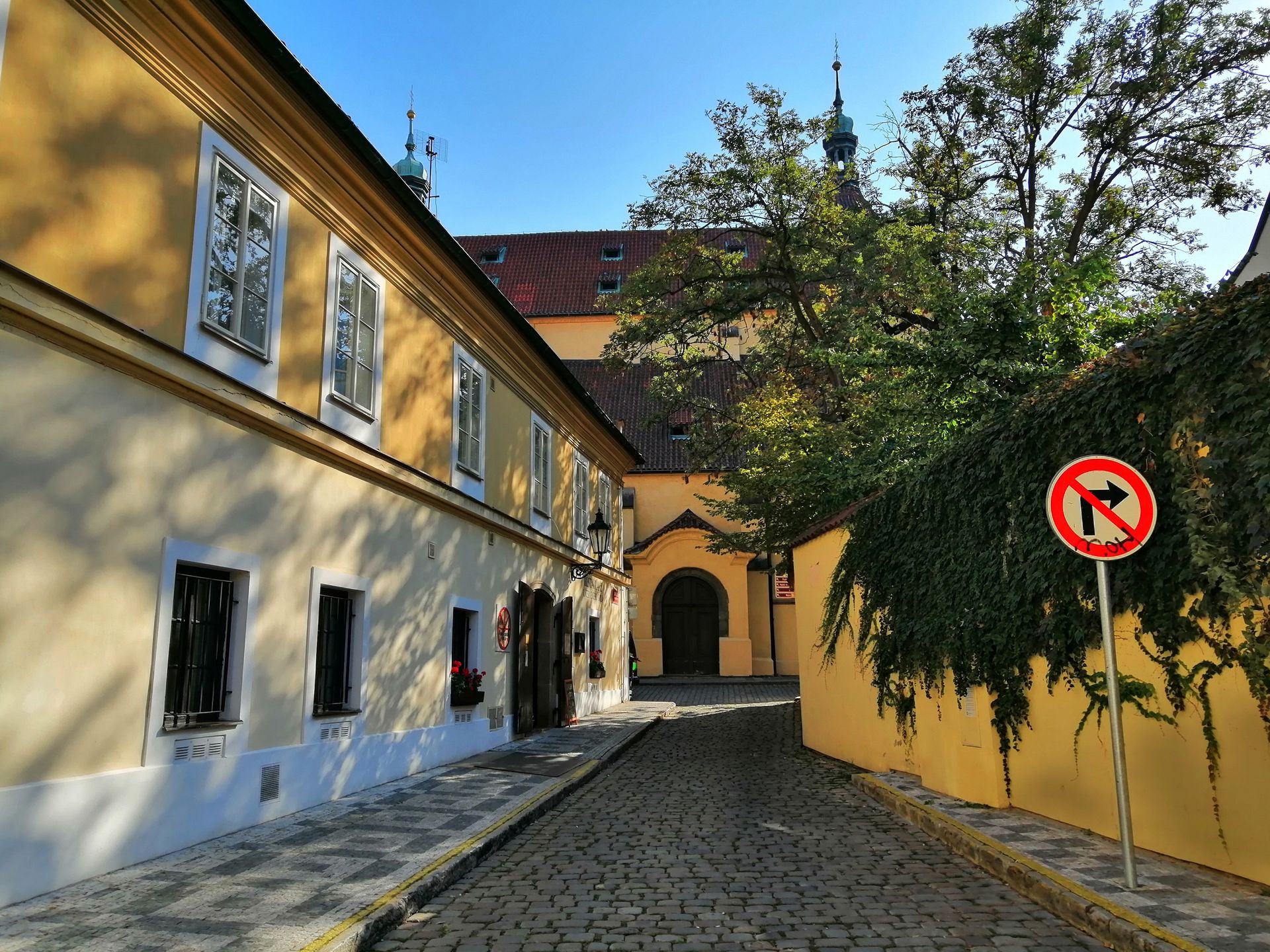 Honor 8X: nasza opinia i zdjęcia z aparatu 17