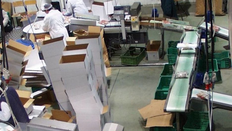 W tych zakładach zatrudniano kilkaset osób. Zniknęły z mapy miasta