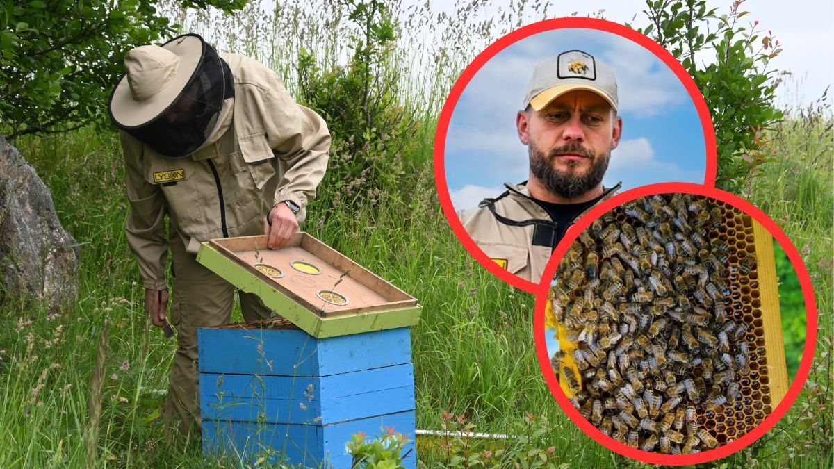 Sprawdziłam, jak wygląda praca w pasiece