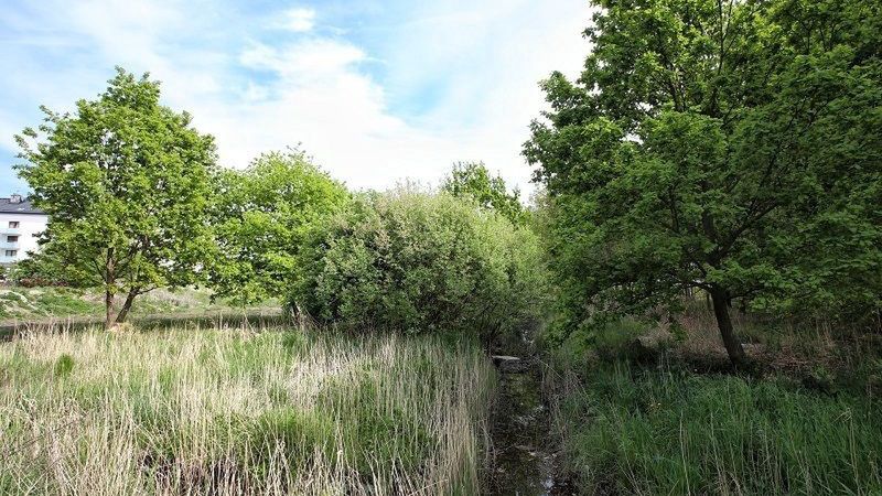 Susza. Wrocław łapie deszcz. Park Krzycki wykorzysta wody opadowe z terenów o powierzchni 68 hektarów