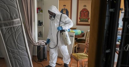 Wmówili ludziom plagę we Francji. A potem zarobili na tym krocie