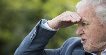 „David Attenborough: Życie na naszej planecie” (może wkrótce się skończyć)