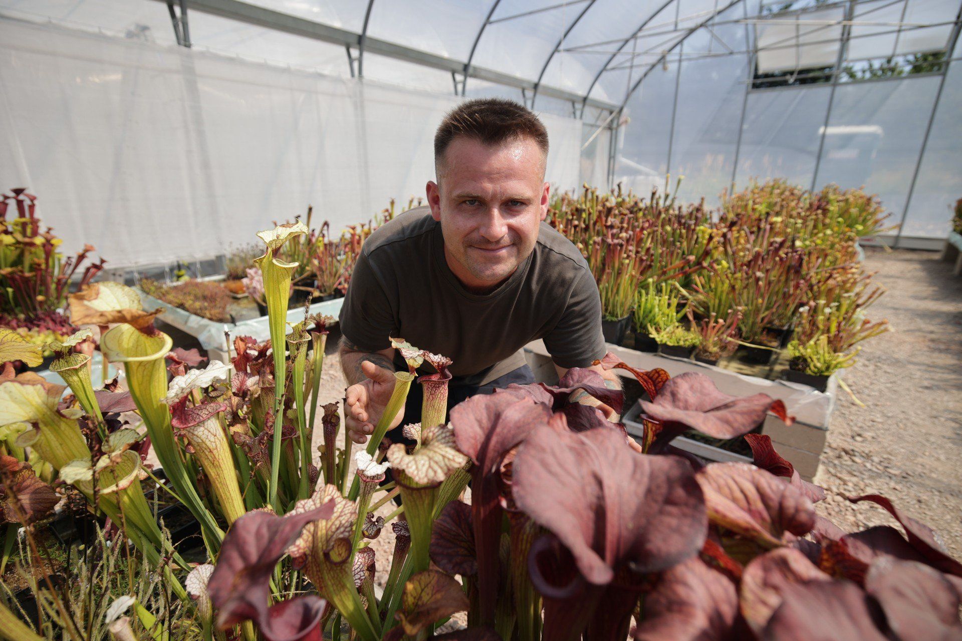 Grzegorz Jamróz zaprasza do jedynego takiego miejsce w regionie, ogrodu z roślinami mięsożernymi Hungry Flora.