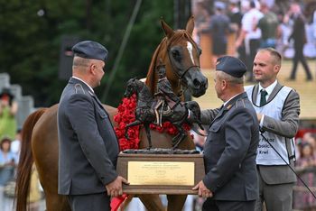 Janów Podlaski: Dni Konia Arabskiego. Jakie konie zdobyły czempionaty?