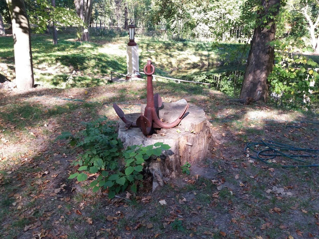 Samsung Galaxy J5 to zaskakująco dobry średniak z wieloma zaletami [test i recenzja] 63