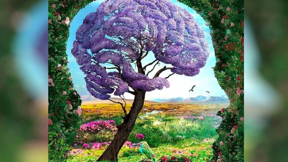 Co zobaczyłeś najpierw? Szybki test zdradzi twoje największe lęki