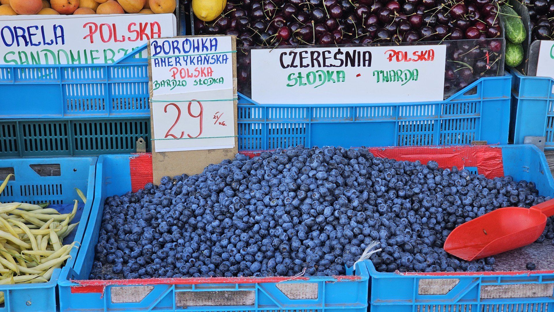 Rozpoczął się również sezon na borówki, które są teraz bardzo słodkie i soczyste. Cena za kilogram to 29-30 złotych.