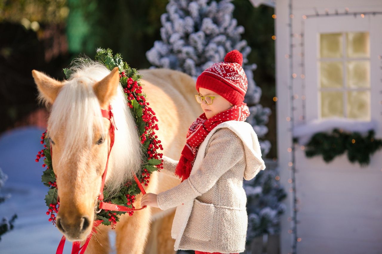 Wrocław: Jarmark Bożonarodzeniowy "Kraina Koni" na Partynicach