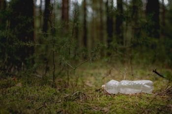 Bydgoszcz: Fundacja Zielone Jutro zaprasza do udziału w akcji sprzątania lasu w gminie Białe Błota
