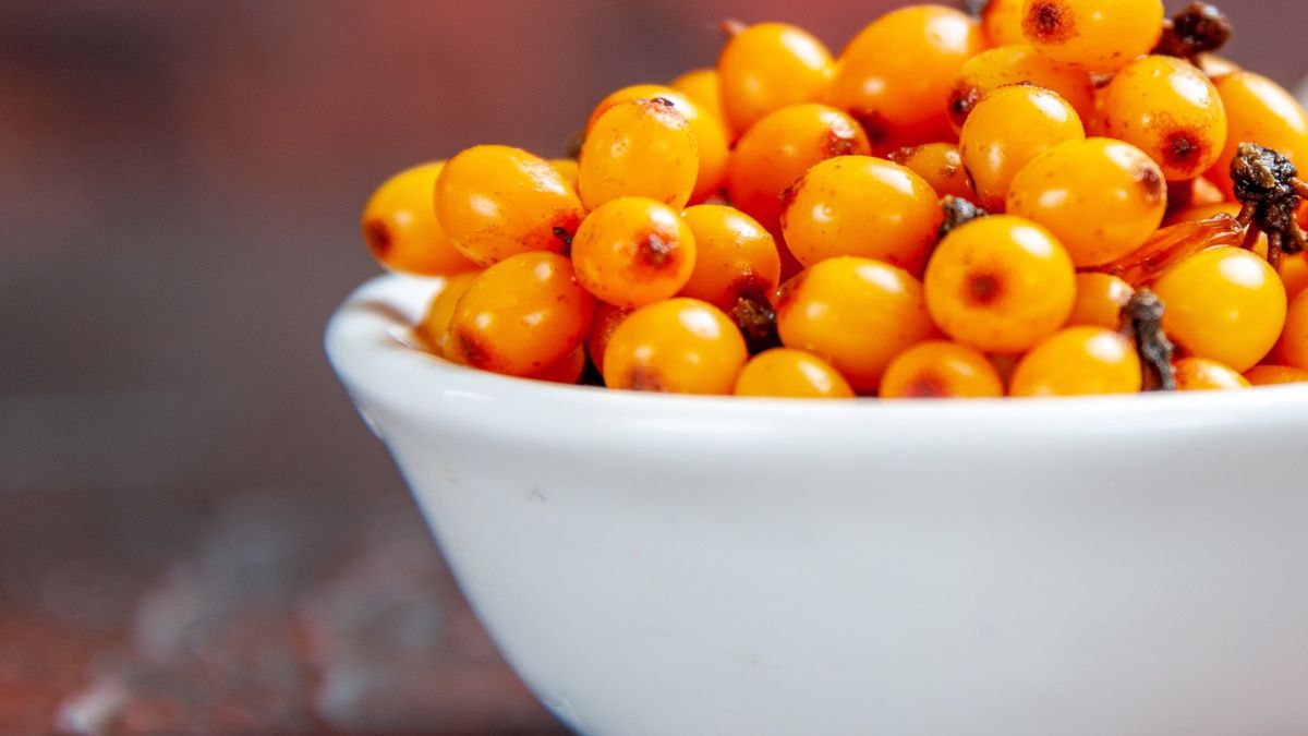 Biała miseczka z owocami rokitnika