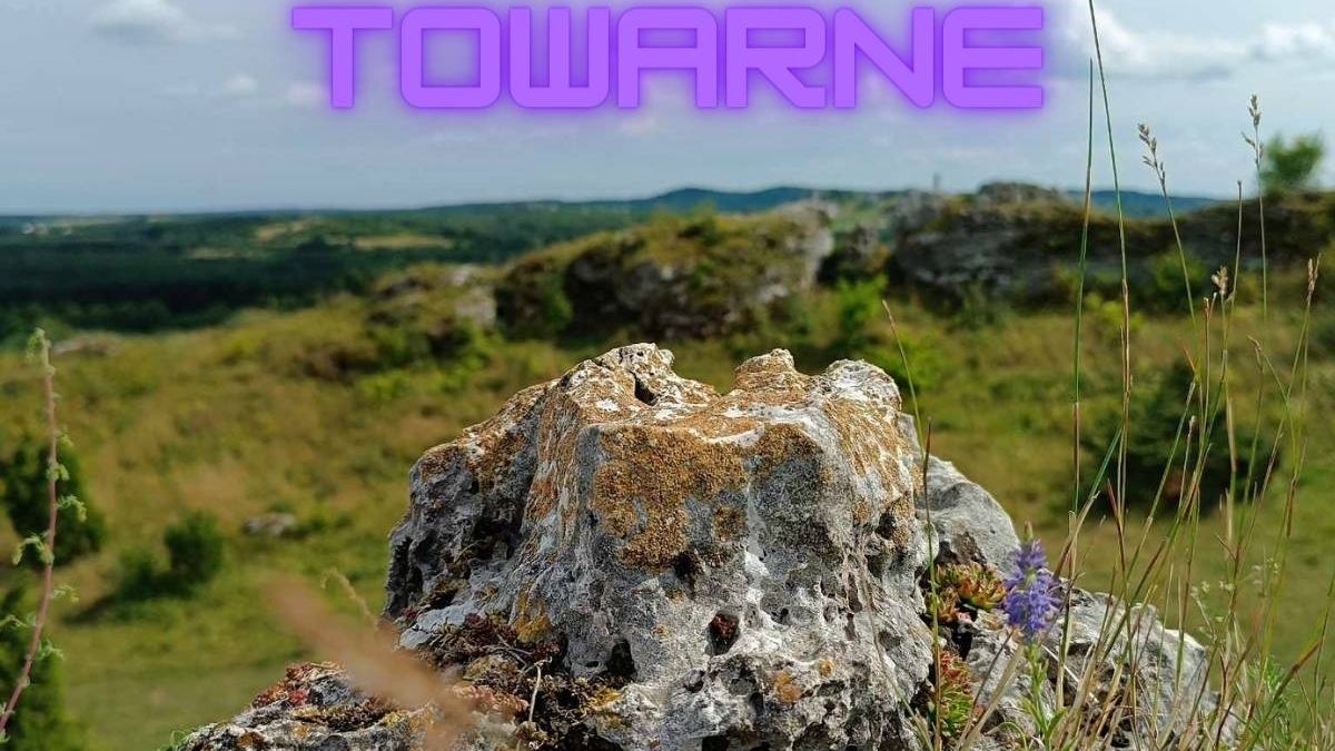 Góry towarne