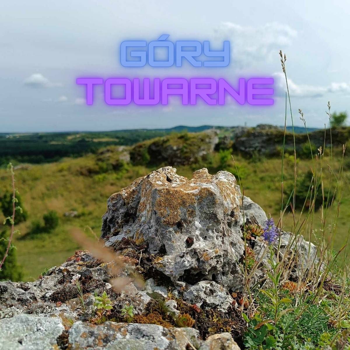Góry Towarne na szlaku Orlich Gniazd