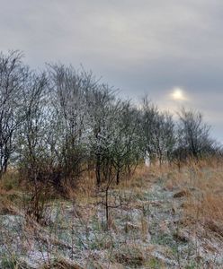 Nagłe ochłodzenie. Temperatury na minusie
