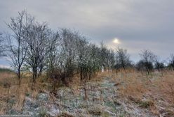 Nagłe ochłodzenie. Temperatury na minusie