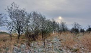 Nagłe ochłodzenie. Temperatury na minusie