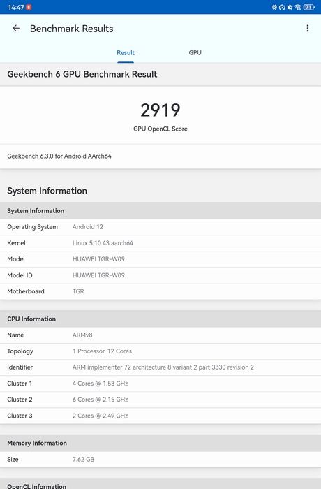 Wynik GPU Geekbench