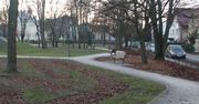 Poznań: Nowa zieleń i miejsce spotkań. Skwer przy ul. Kutnowskiej po metamorfozie