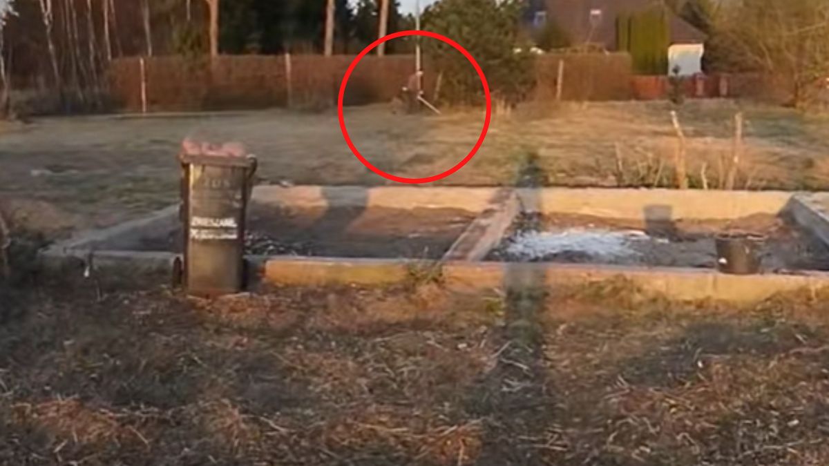 Kosili trawę w niedzielę. Stanowcza reakcja sąsiadów.