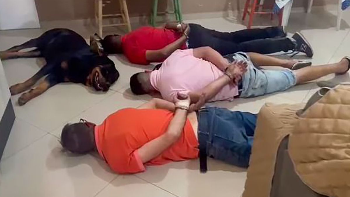 Pies położył się na ziemi razem ze swoimi właścicielami