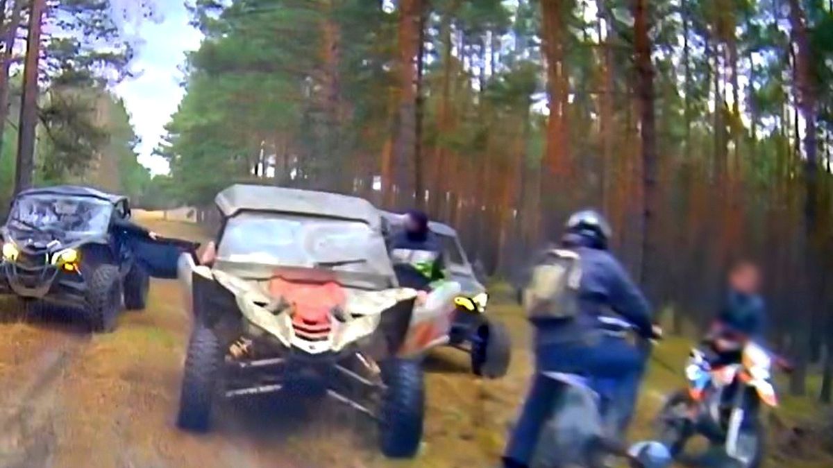 Kary za rozjeżdżanie lasów są zbyt niskie, by kogoś odstraszyć