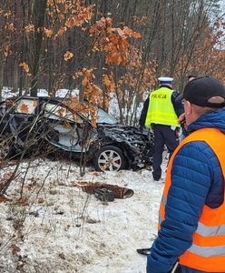 Poważny wypadek na torach. Zignorował sygnalizację