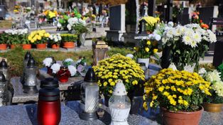 Wystarczy kilka kropli. Kwiaty na grobie postoją dłużej