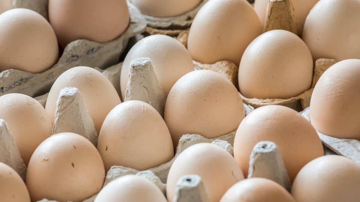 Ile kosztują jaja w Polsce, a ile w Niemczech?