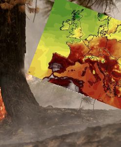 Dramatyczne dane klimatyczne. Rekordowy lipiec 2021