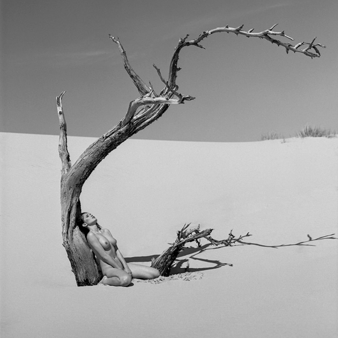 Wielu Polaków na podium w konkursie Monochrome Photography Awards 2017 45