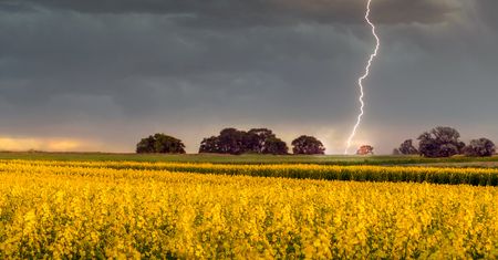 Gdzie jest burza? Grzmi w mazowieckim i świętokrzyskim. Ostrzeżenia IMGW dla 9 województw