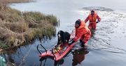 Przerażony pies czekał na pomoc. Nietypowa akcja strażaków na Mazurach