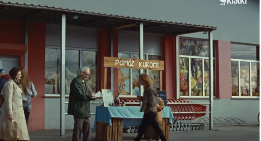 Wzruszający spot wielkanocny Otwartych Klatek. "Z troski o nioski"