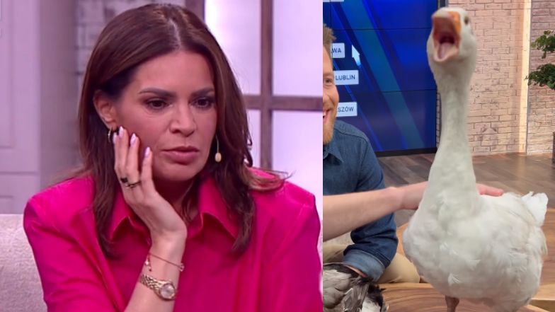 Joanna Górska wystraszyła się w "Pytaniu na Śniadanie". Co się stało?