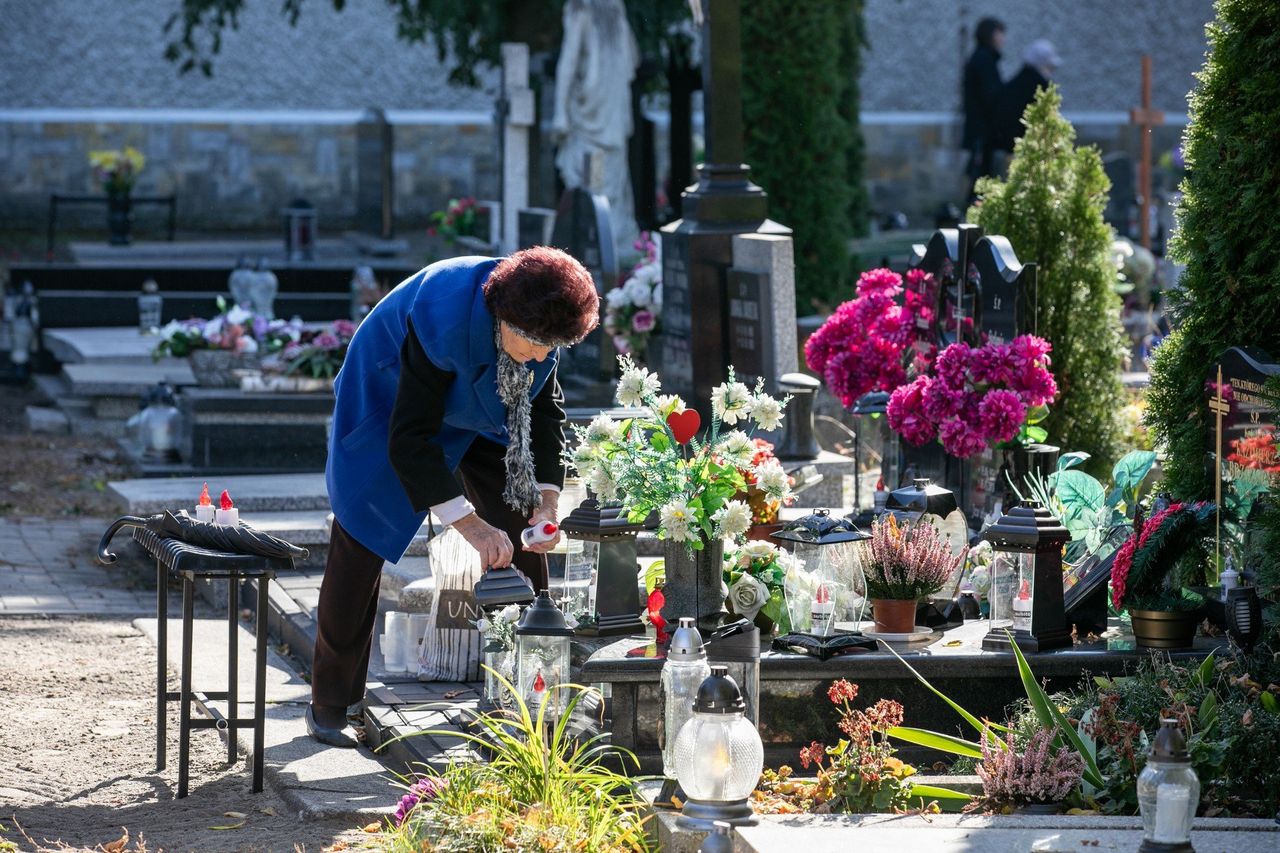 Poznań: Bezpłatne sprzątanie grobów. Kto może skorzystać z usługi